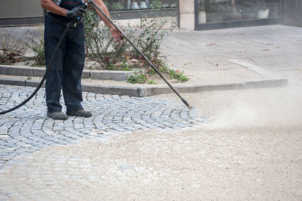 Best Fence Cleaning and Maintenance in Pleasant Hill, IA